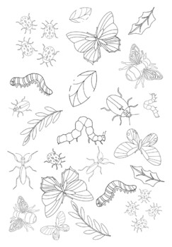 Bug printable coloring sheet