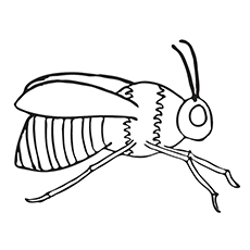 Top bumblebee coloring pages for your little one