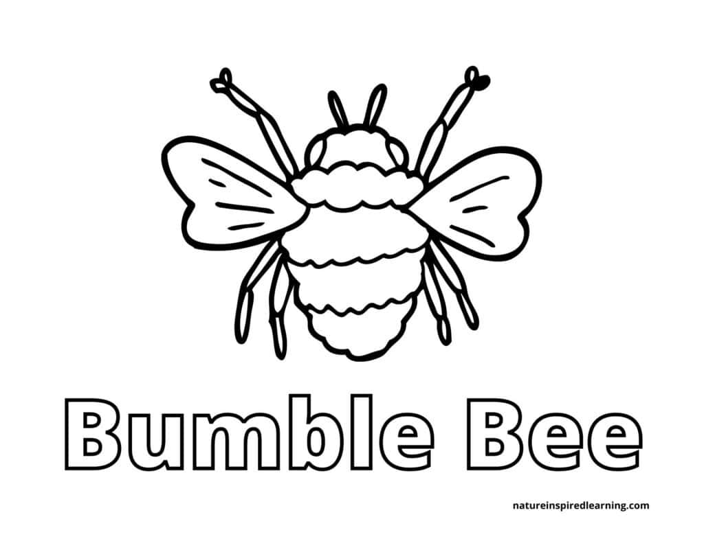 Busy bee coloring pages for kids