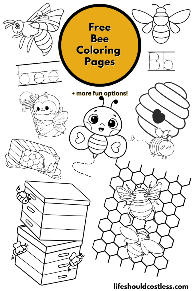 Bee coloring pages free printable pdf templates