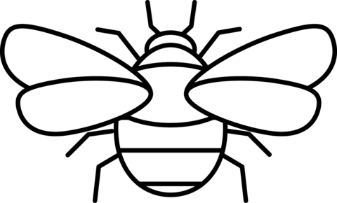 Bumblebee coloring page free printable coloring pages