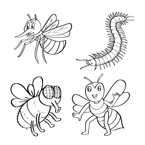 Bumble bee coloring pages stock illustrations royalty