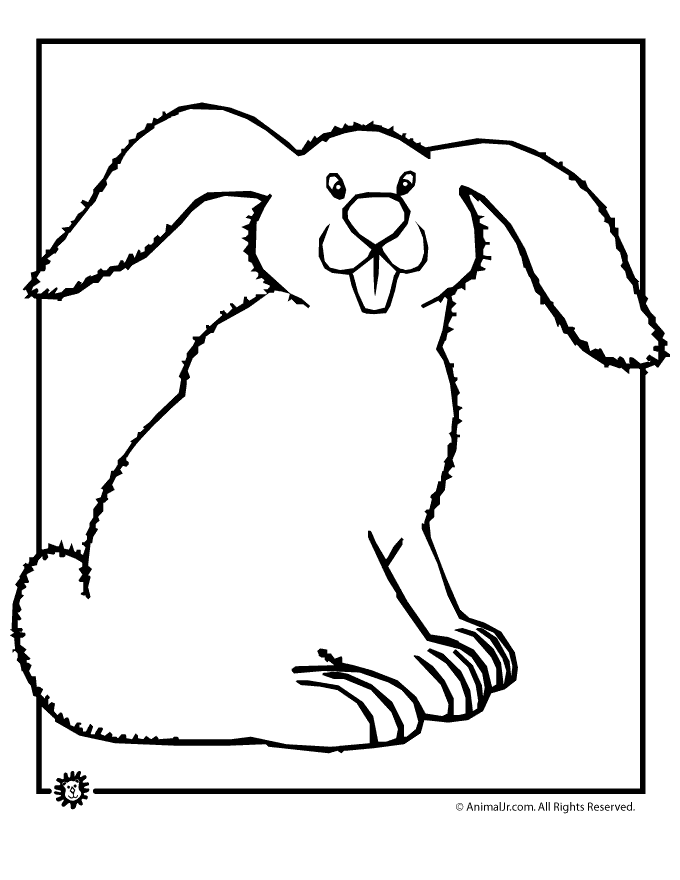 Bunny coloring pages woo jr kids activities childrens publishing