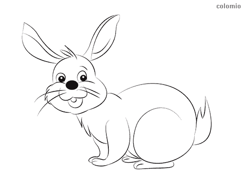 Rabbits coloring pages free printable rabbit coloring sheets