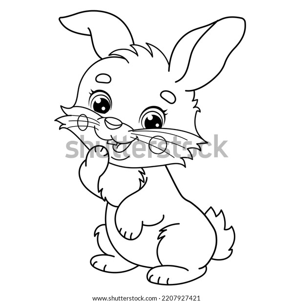 Rabbit outline drawing images stock photos d objects vectors