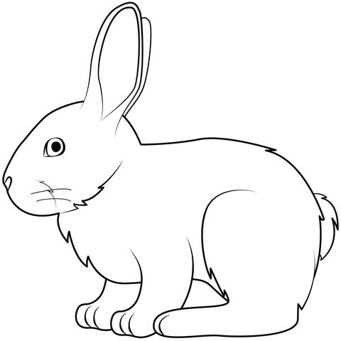 Bunny coloring page free printable coloring pages