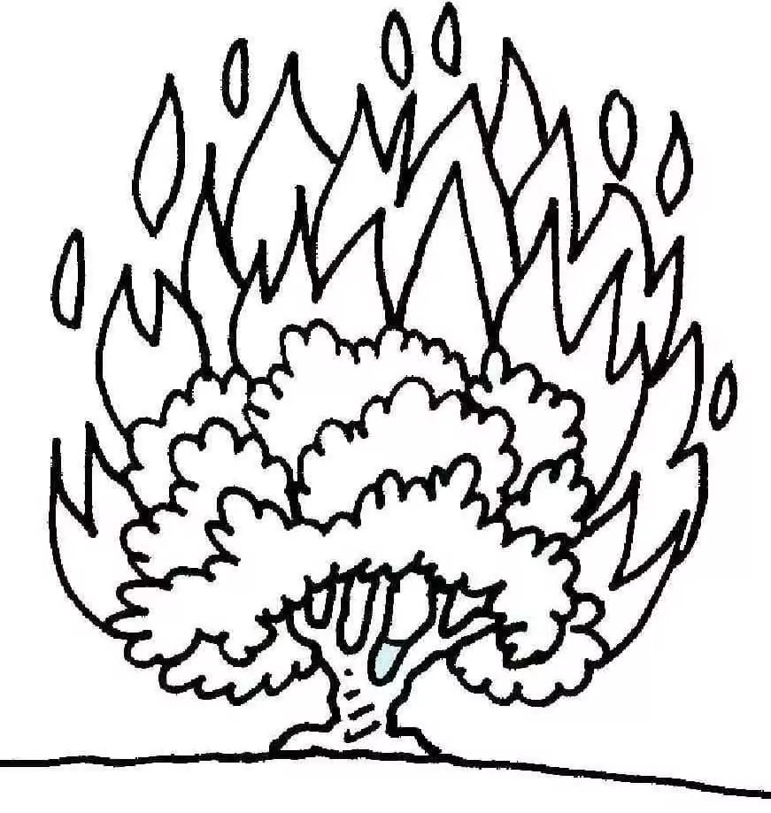 Burning bush malvorlagen
