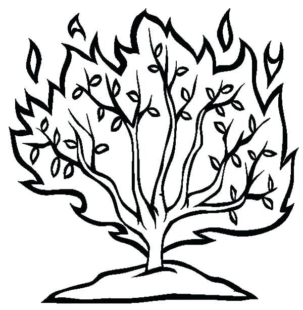 Image result for printable image of a bush burning bush bible school crafts coloring pages