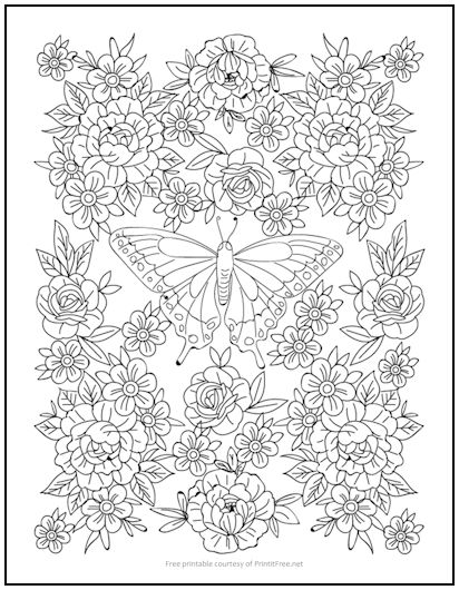 Butterfly and roses coloring page print it free