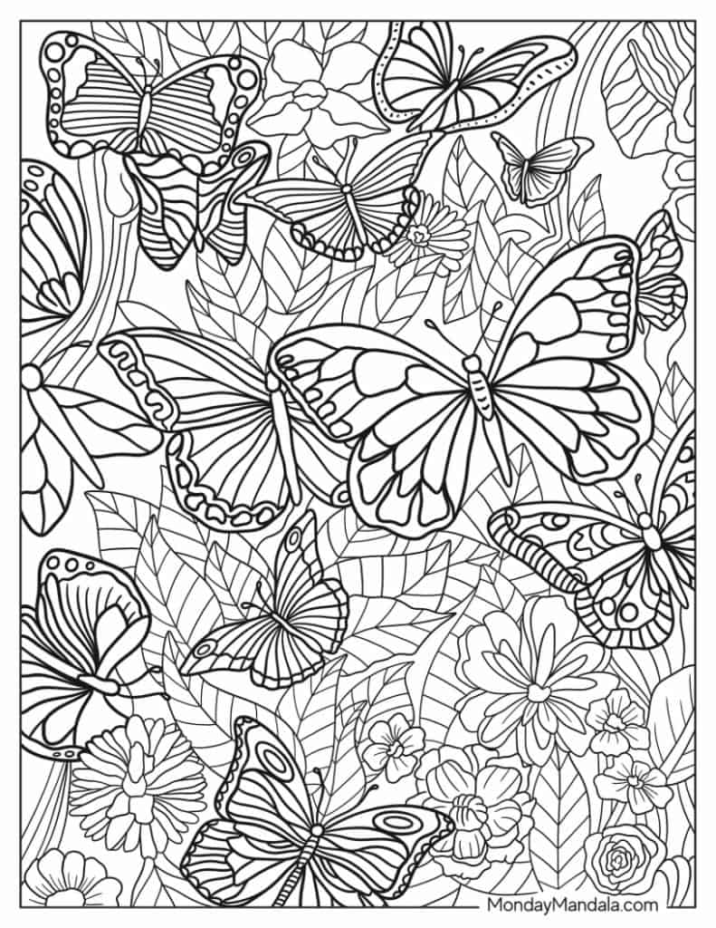 Butterfly coloring pages free pdf printables