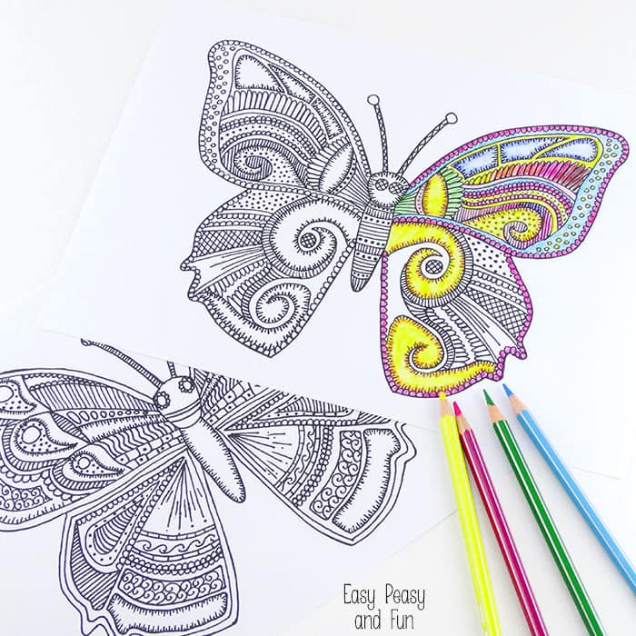 Butterfly coloring pages for adults