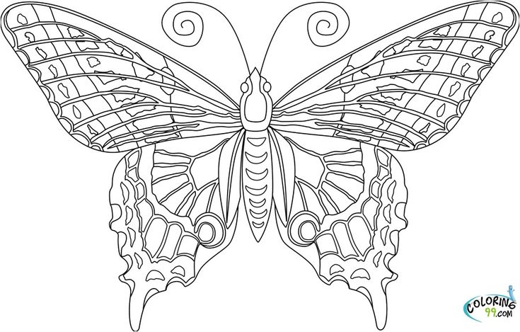 Awesome butterfly coloring pages for adults