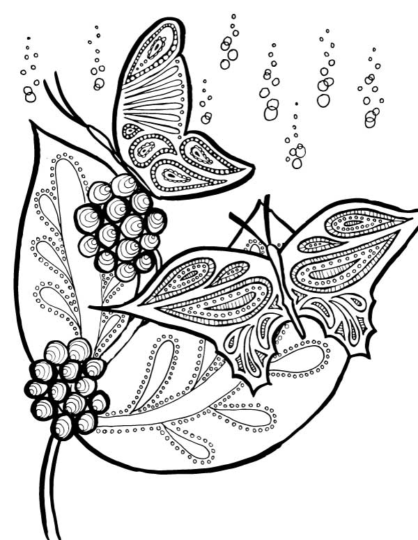 Butterflies coloring pages