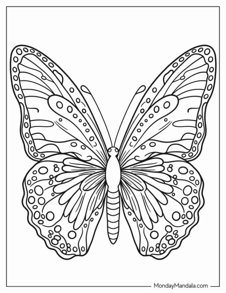 Butterfly coloring pages free pdf printables