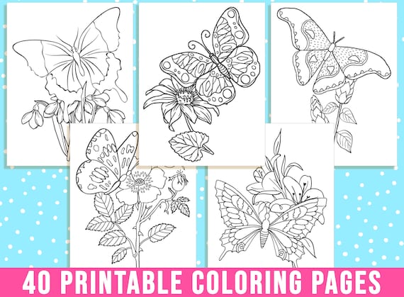 Butterfly coloring pages printable butterfly and flower coloring sheets for kid adults coloring bookparty activity instant download