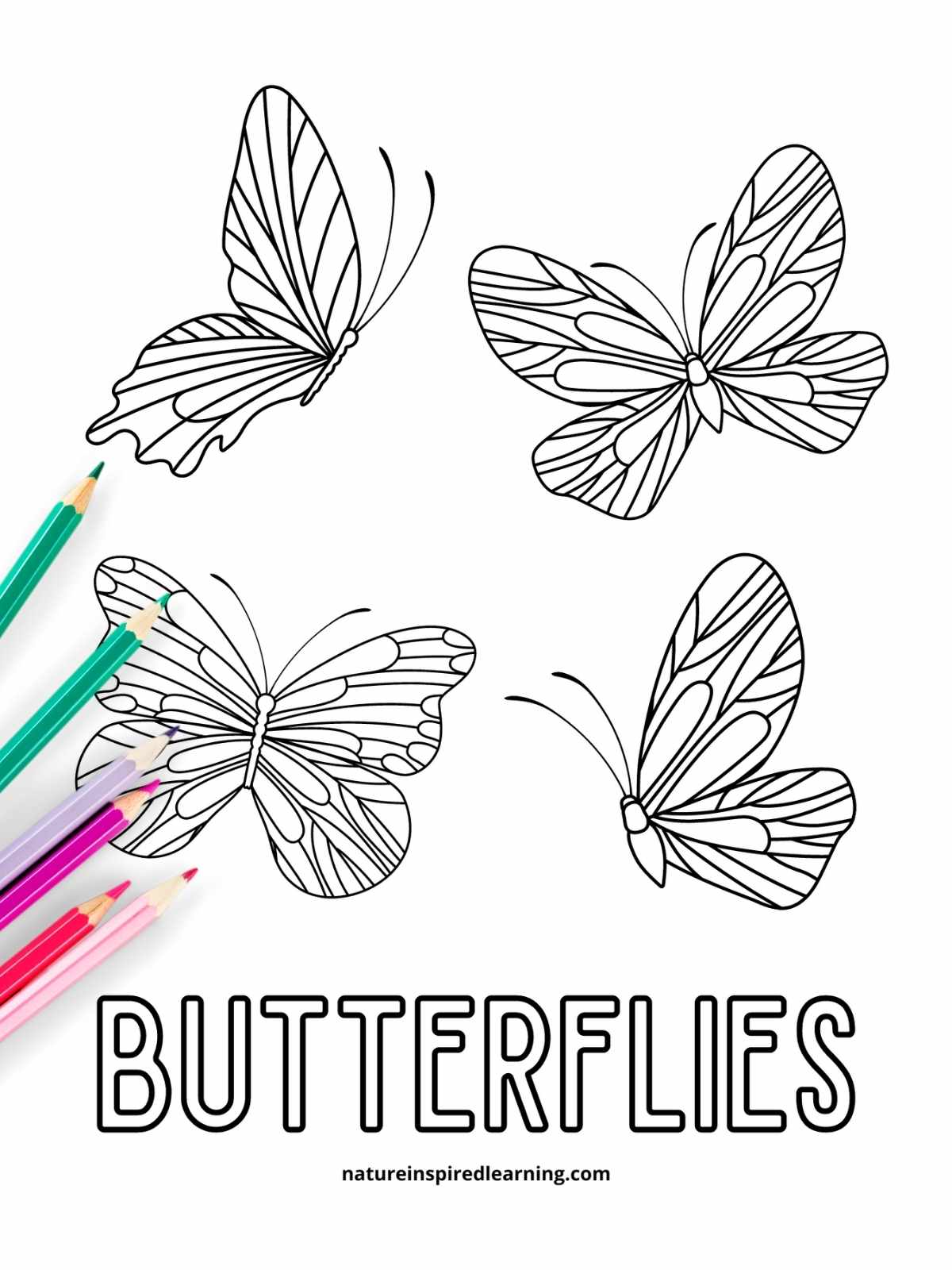 Beautiful butterfly coloring pages