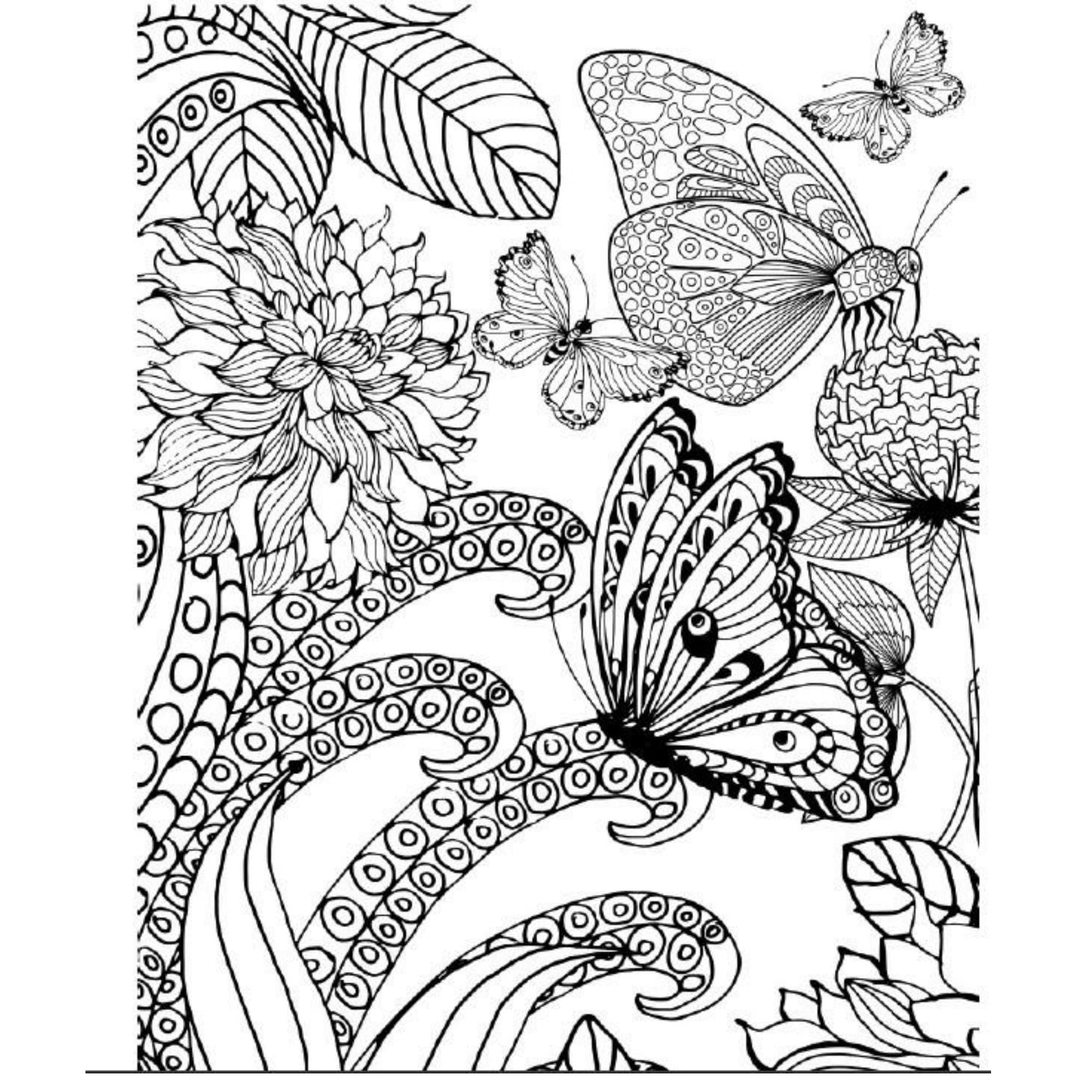 Printable butterfly adult coloring book pdf stress relief