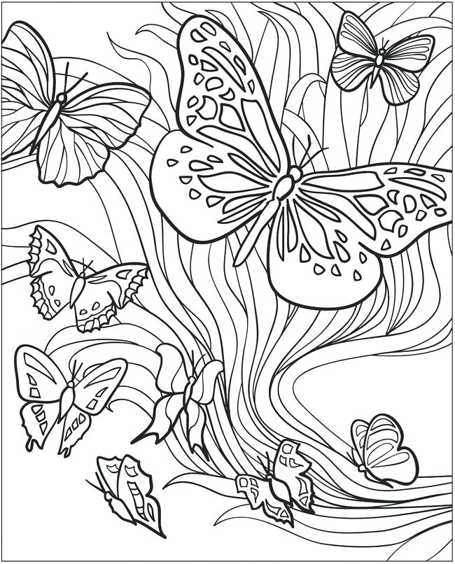 Butterfly coloring pages for adults