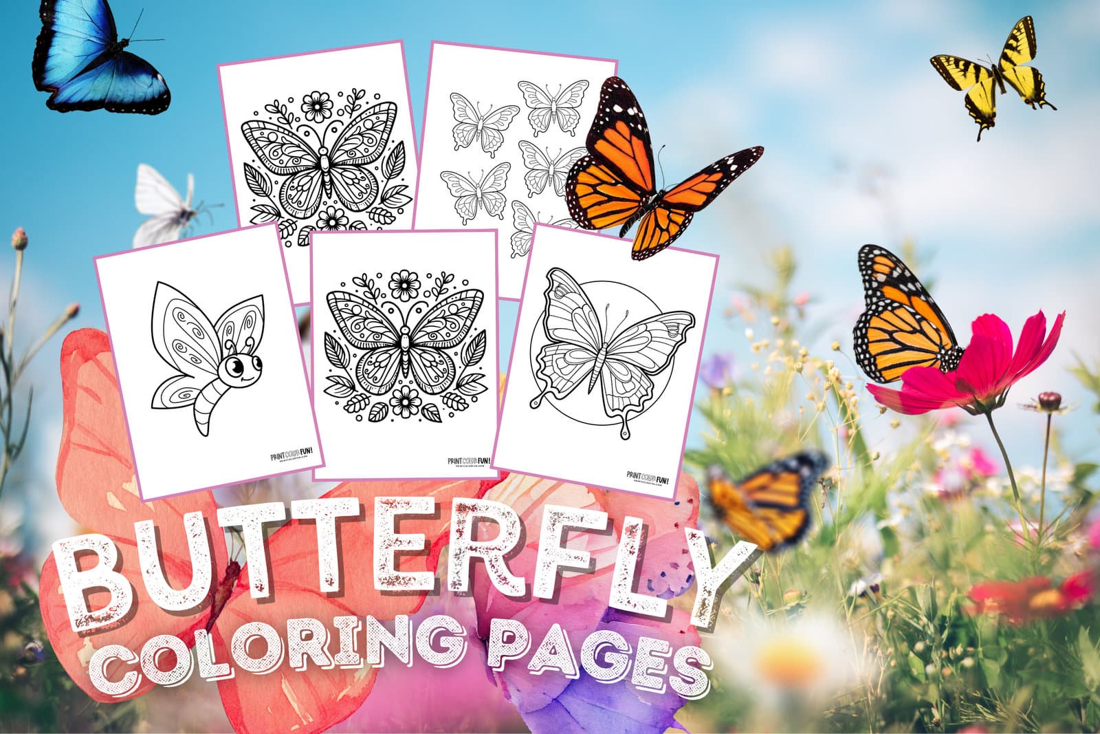 Butterfly coloring pages clipart collection with both easy plex designs at