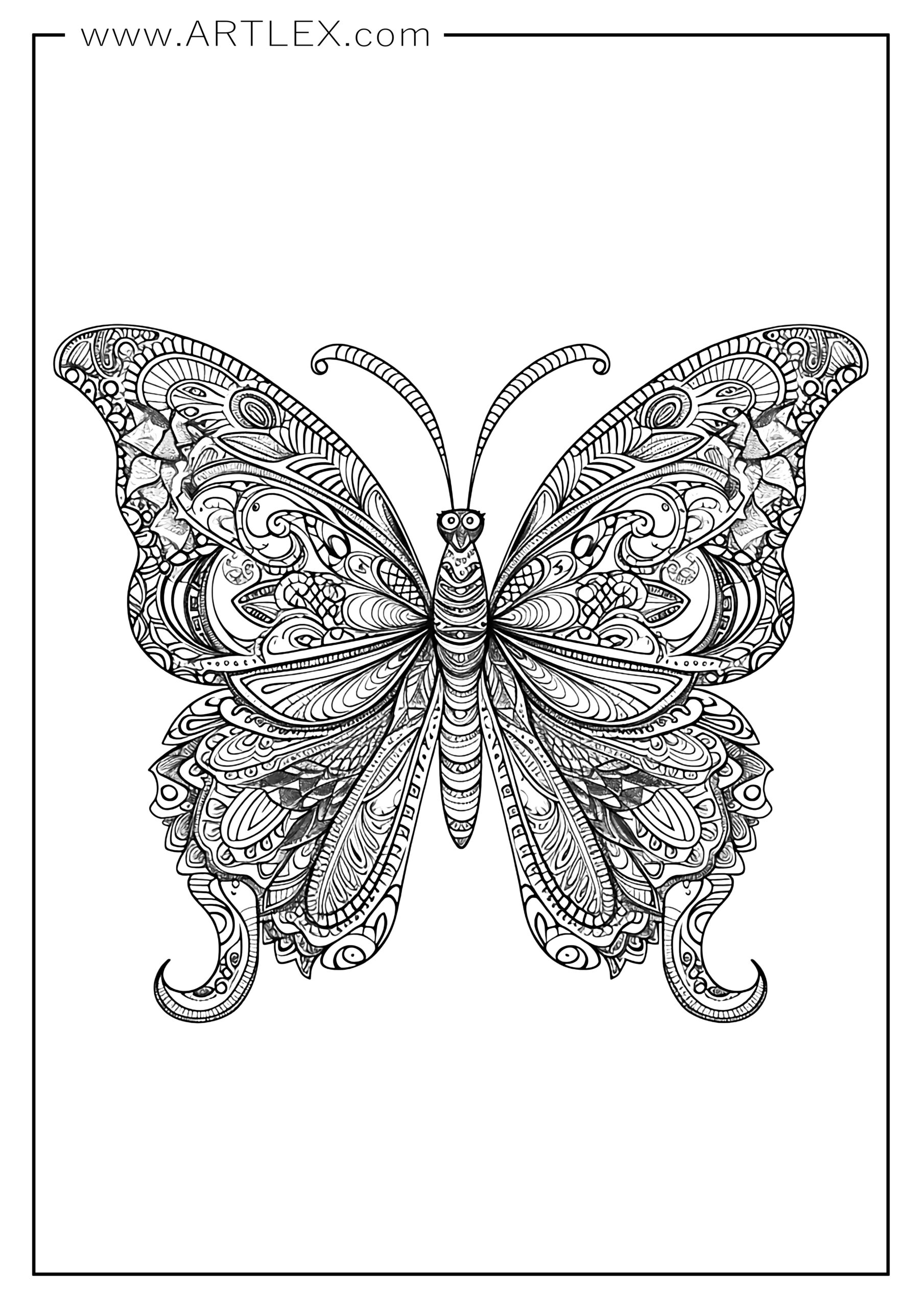 Best butterfly coloring pages free printable â