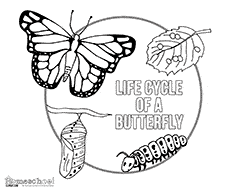 Butterfly preschool printables