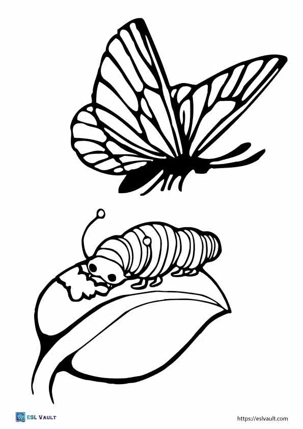 Cute butterfly coloring page printables