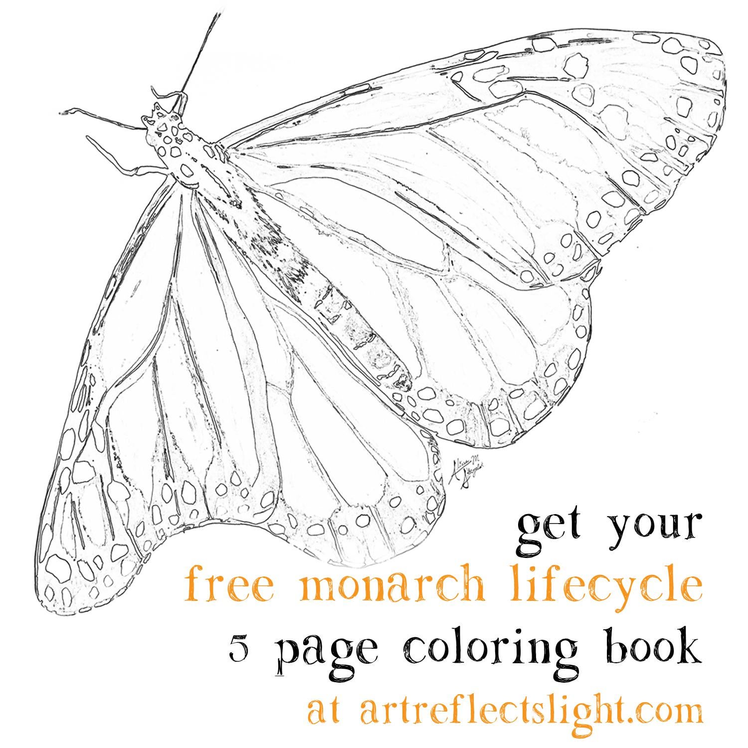 Free monarch butterfly guide and printable coloring book rhomeschool