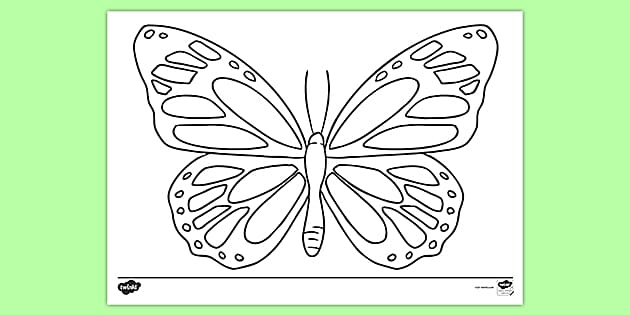 Free printable butterfly colouring pages primary resources