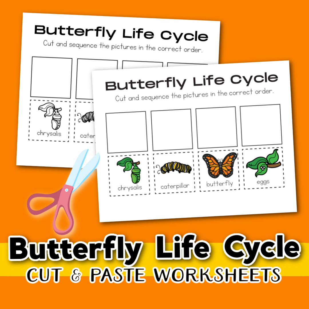 Free butterfly life cycle worksheet