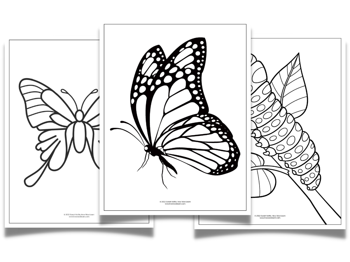 Printable butterfly worksheets