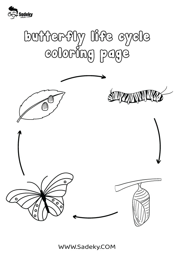 Free butterfly rainbow coloring pages printable