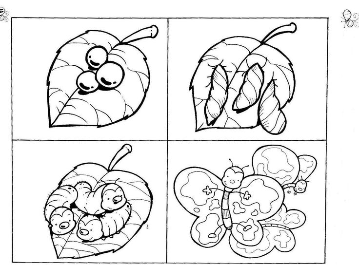 Life cycle butterfly coloring page crafts and worksheets for preschooltoddler and kindergarten