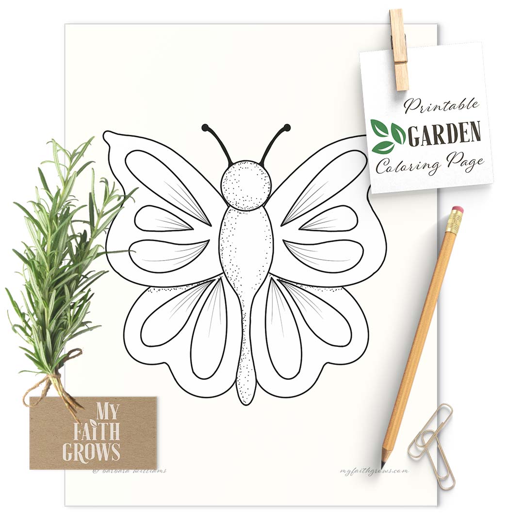 Butterfly printable coloring page barbara anne