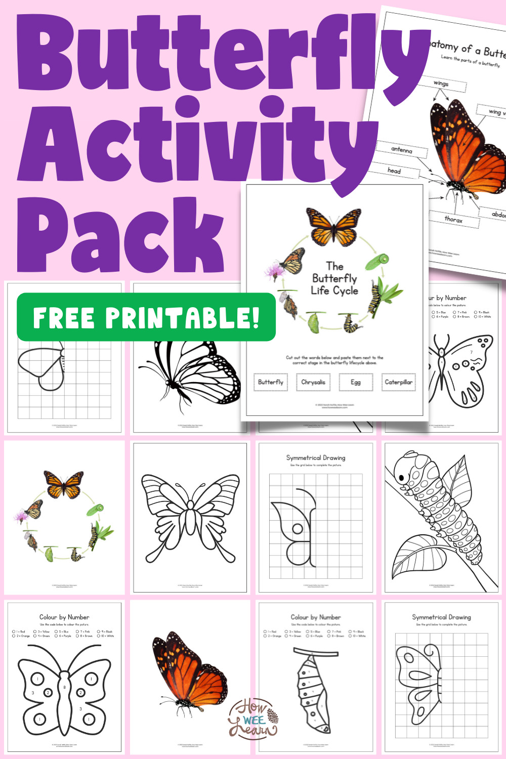 Printable butterfly worksheets