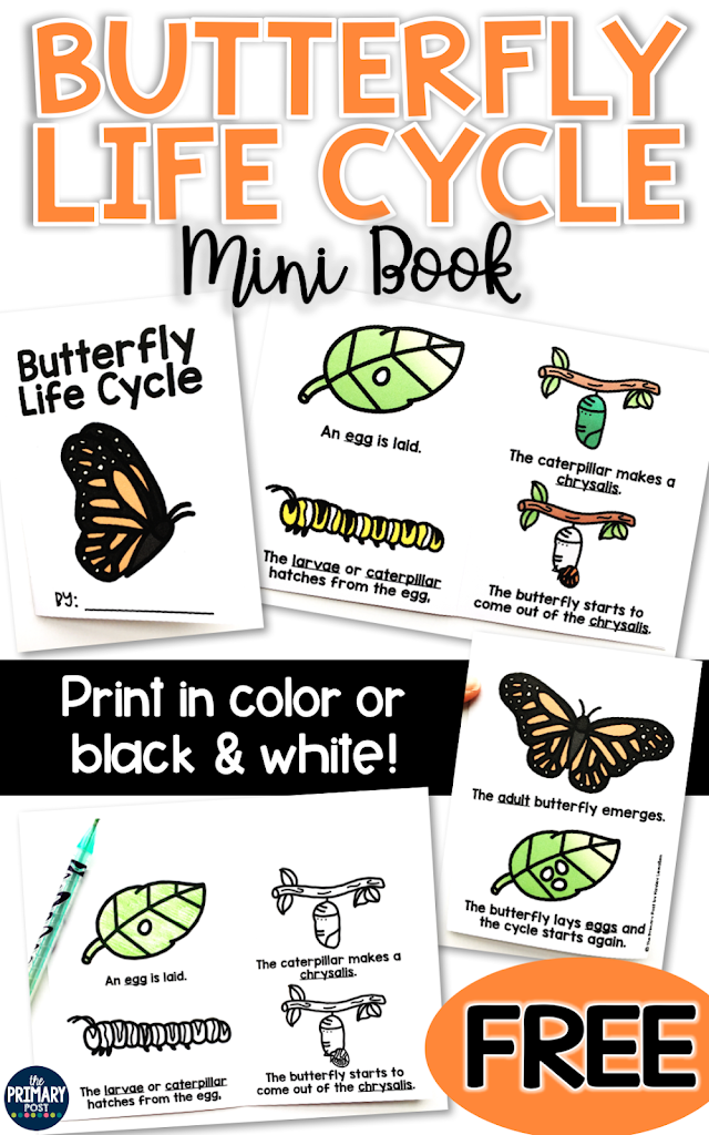 Butterfly life cycle mini book freebie