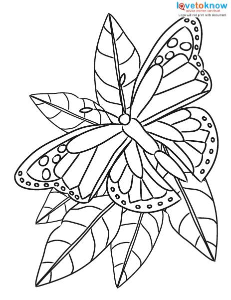 Free butterfly coloring printable pages