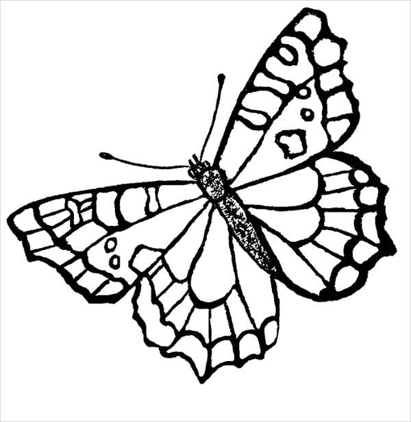 Butterfly coloring pages