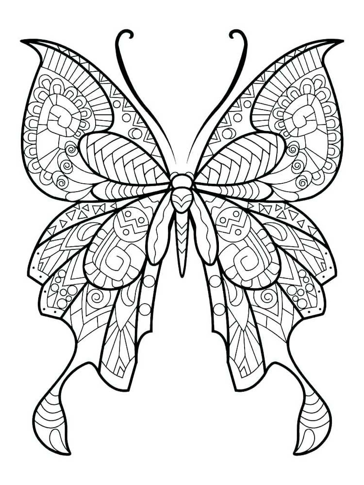 Big butterfly mandala coloring page