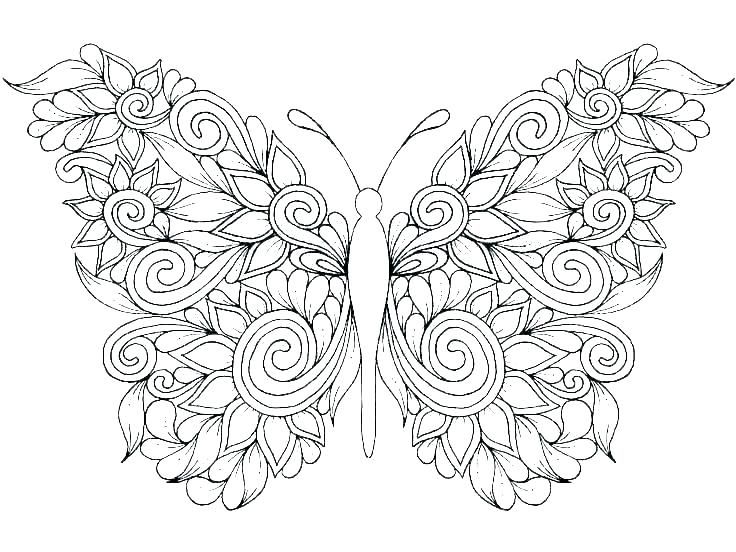 Pin by pam schwigen on cricut butterfly coloring page coloring pages printable coloring pages