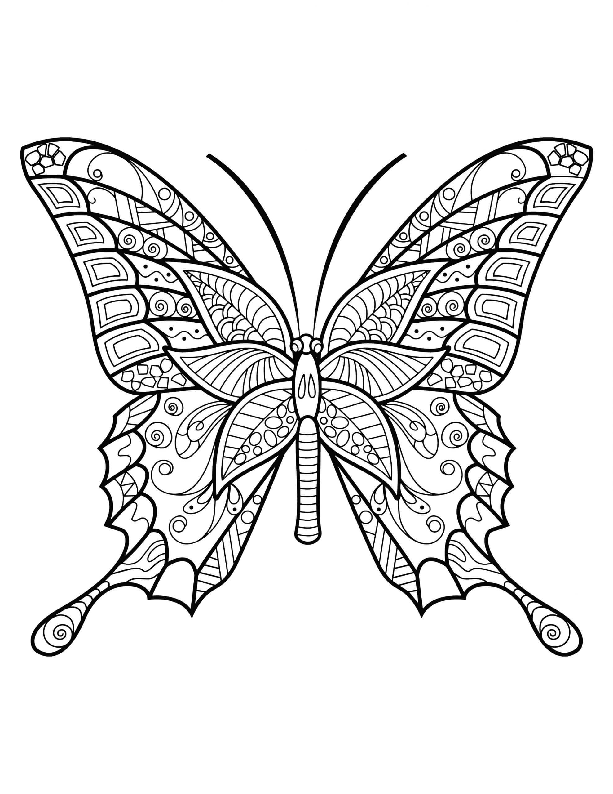 Simple butterfly mandala coloring page