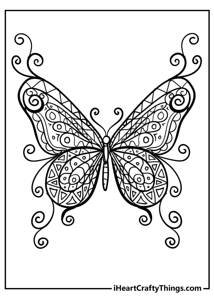 Butterfly coloring pages free printables