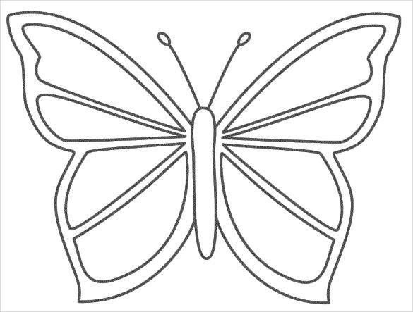 Butterfly templates