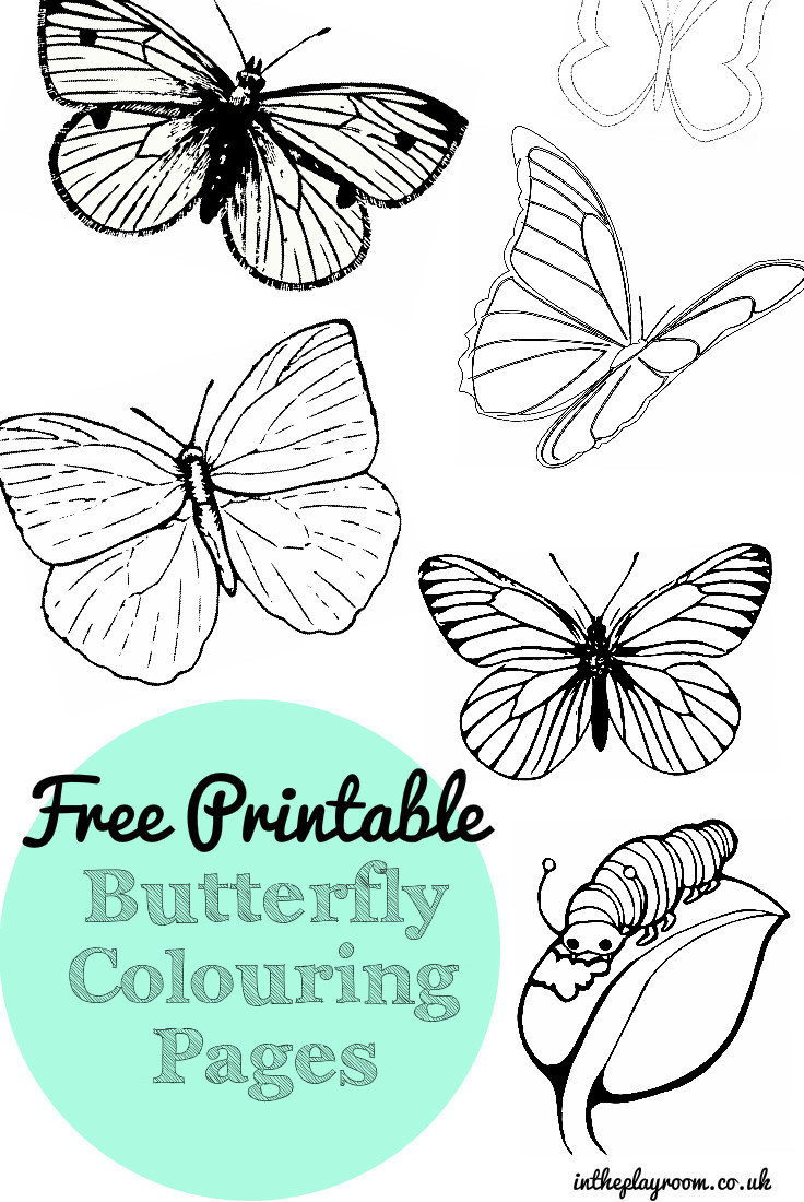 Free printable butterfly louring pages