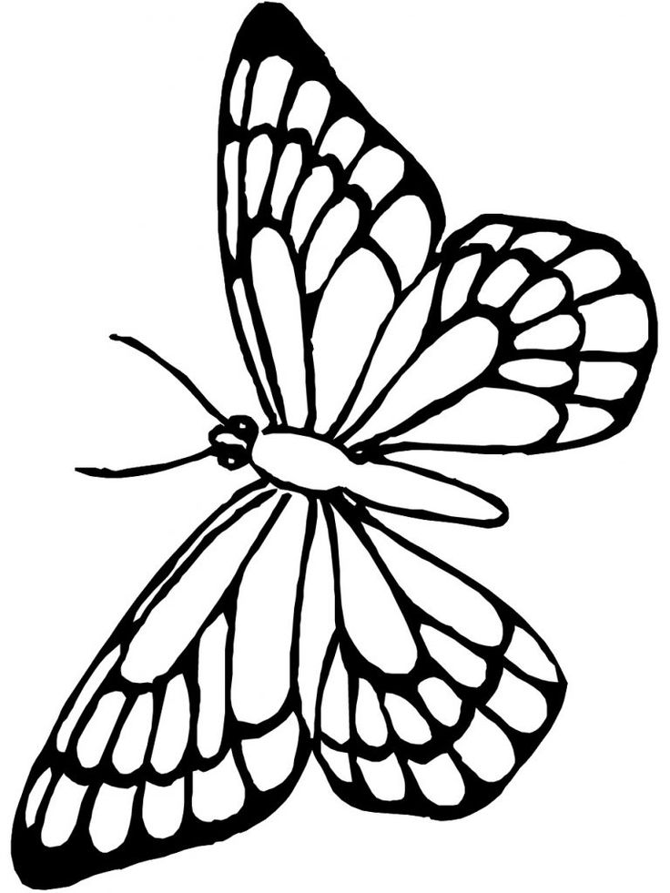 Free printable butterfly coloring pages for kids butterfly coloring page butterfly stencil butterfly outline