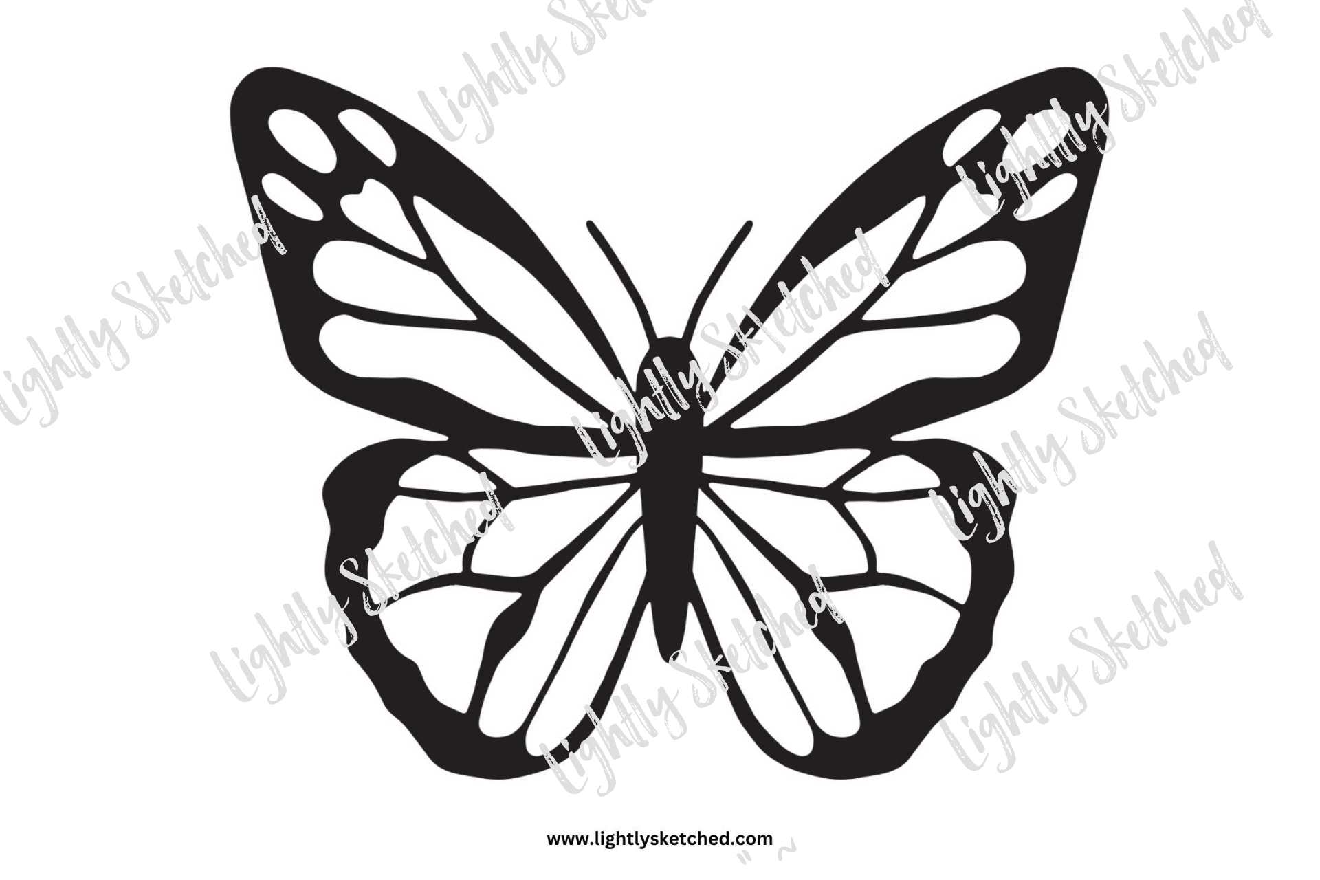 Beautiful butterfly templates lightly sketched