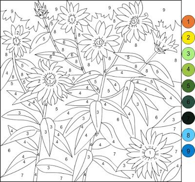 Nicoles free coloring pages color by number coloring pages free coloring pages color by numbers