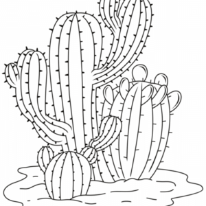 Cactus coloring pages printable for free download