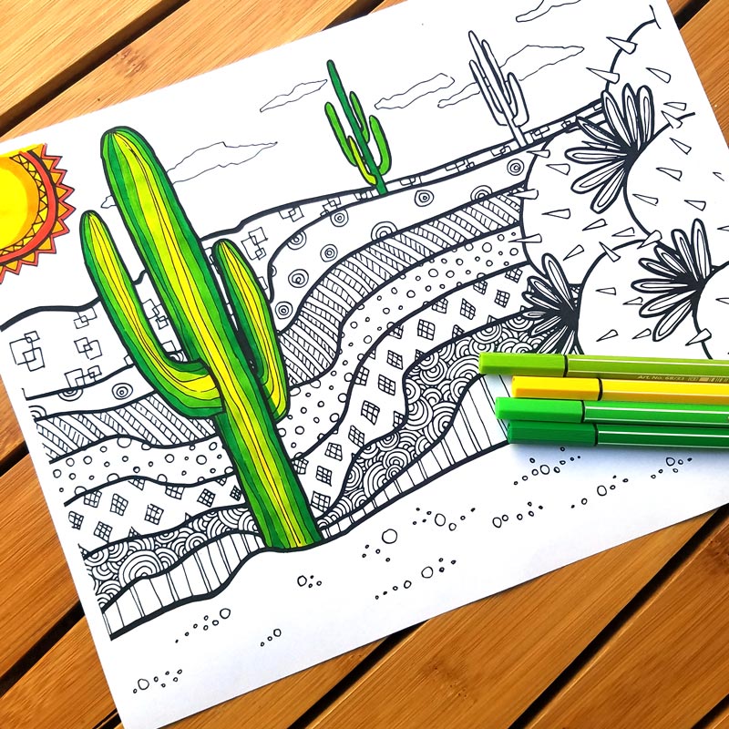 Cactus coloring page for adults