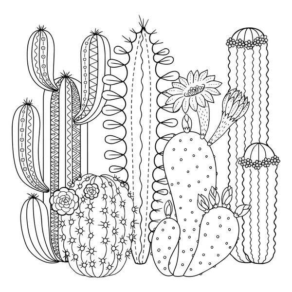 Thousand cactus colouring pages royalty