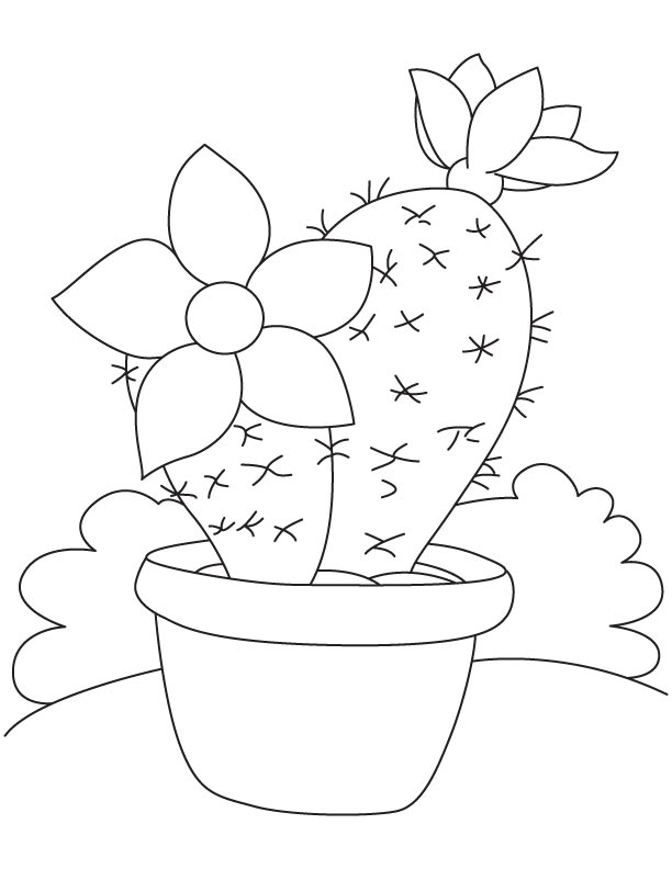 Large flower on cactus coloring page download free large flower on cactus coloring page for kids best coloring pages